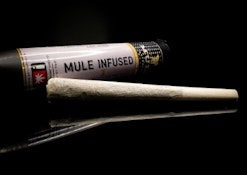 Punch Breath x Lemon Meringue, Infused Pre-Roll, 1g