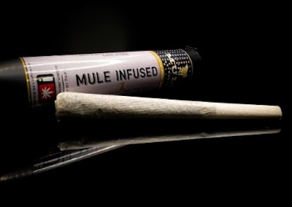 Mule Extracts - Punch Breath x Lemon Meringue, Infused Pre-Roll, 1g