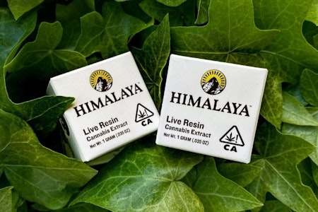 Himalaya - HIMALAYA Garlic Juice Terp Sauce Concentrate 1g