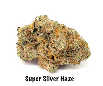 MAS - Super Silver Haze - Mas 3.5g Eighth Indoor
