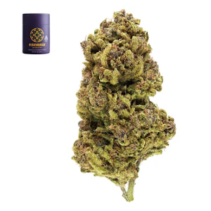 Esensia - Flower - Rum Punch - 3.5g (SH) - Esensia