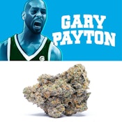 C-Bite-Gary Payton Preroll-1g