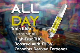 E29 Labs - All Day -Train Wreck - .5g Cartridge
