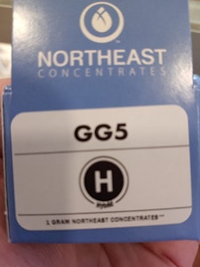 GG5 - 1g Live Resin - Northeast Concentrates 