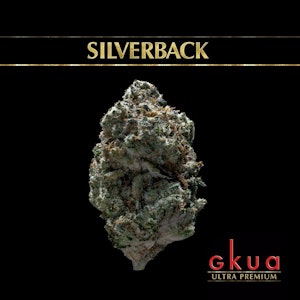 GKUA SilverBack 3.5 Hybrid