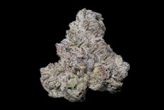 Maven Genetics - 3.5g - Black Diamond X