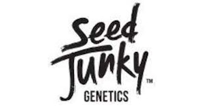 Seed Junky Genetics - 3.5g - Mango Fruz