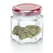 R*ntz x Alien Mints - 3.5 g