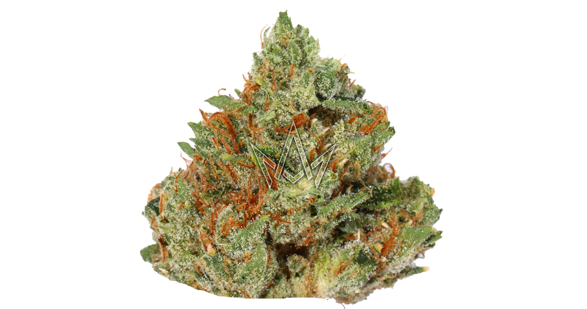 LAX PACKS: Skywalker OG