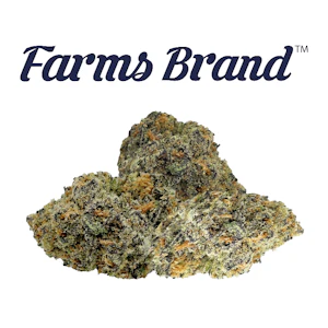 FARMS BRAND - Lava Cake 7g Smalls Jar - Farms Brand