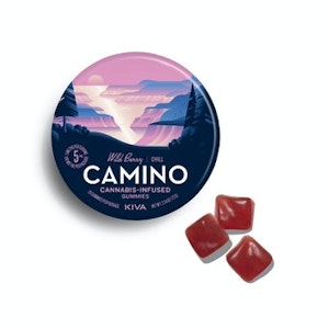 Wild Berry | Camino Gummies | 100mg