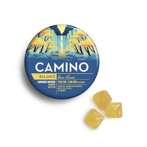 KIVA - Camino - Yuzu Lemon 20pk 1:1 THC:CBD  - Hybrid - 100MG