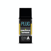 Plug Play | Pineapple Express - 1G