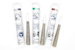 Lemon Bars - 1g (S) - Wave Rider