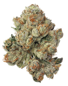 Chem Scout '87 3.5g