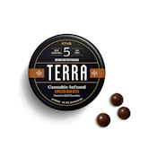 Kiva | Terra Bites (20ct) | Dark Chocolate Espresso | 100mg