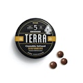 Terra Bites: Sea Salt Caramel 100mg