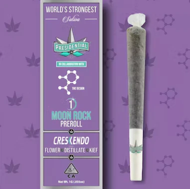 Presidential - Presidential - Crescendo THC Design Preroll 1g Main Image