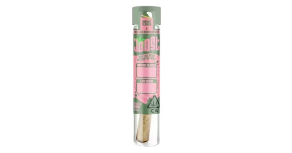 JOOST - Joost - Snow Cap x Grape Jelly Infused Pre-Roll - 1g