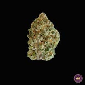 Terp Mansion - Terp Mansion Strawberry Biscotti Exotic Indoor Flower 3.5g