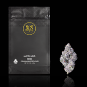 98K (Minis) - 14g (I) - Maven