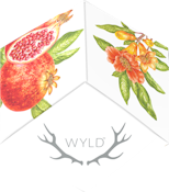 WYLD Pomegranate Hybrid Gummies 1:1 