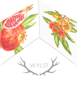WYLD Pomegranate Hybrid Gummies 1:1 100mgTHC/100mgCBD