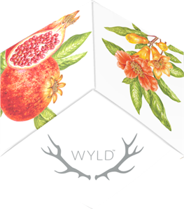 WYLD - WYLD Pomegranate Hybrid Gummies 1:1 100mgTHC/100mgCBD