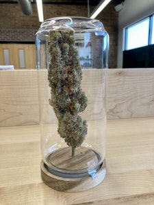 Connoisseur Line - Premium DCxKIL (21G)