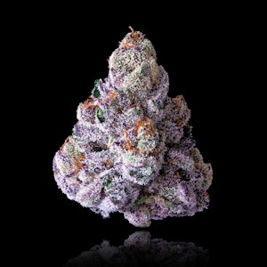 MAVEN GENETICS - Prizm - 3.5g (I) - Maven