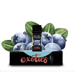 PLUGPLAY - Plug N Play - Exotics - Hybrid - Berry Gang - (1g)
