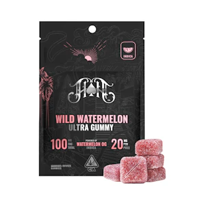Heavy Hitters - Heavy Hitters - 100mg - 5ct - Wild Watermelon