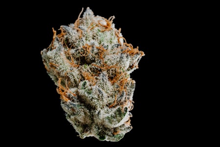 420 KINGDOM - 420 Kingdom Cherry Cheesecake Flower 3.5g