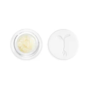 Raw Garden - Concentrate - Crushed Diamonds - Slymer - 1g