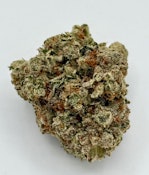 996 || The Local Production