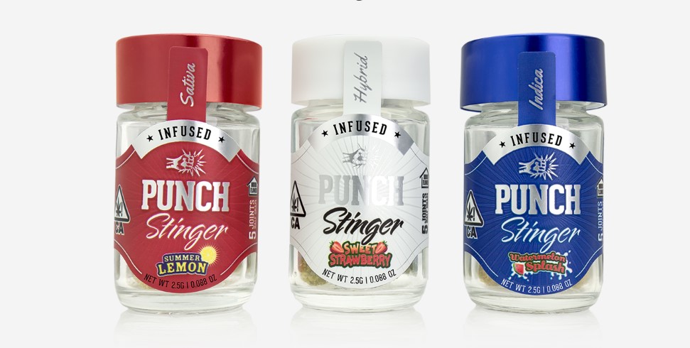 Punch, Summer Lemon Stinger 5pk