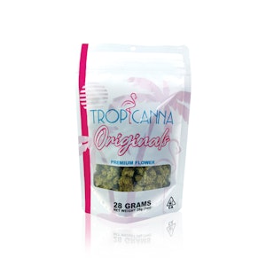 TROPICANNA - TROPICANNA - Flower - Strawberry Cough - 28G