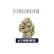 Anthologie AJs Sour Diesel 1g Preroll