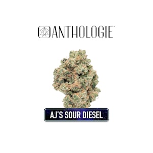 ANTHOLOGIE - AJs Sour Diesel 1g Preroll
