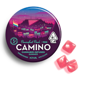 CAMINO - Edibles - PassionFruit Punch Pride - Gummies - 20PK - 100MG