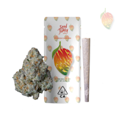 Seed Junky - Mango Fruz - Preroll - Indica - 1g