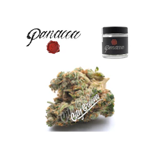 Panacea - Panacea - TMZ (True Mintz) - 1/8th