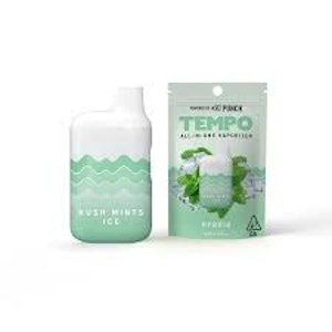 TEMPO - [Tempo] AIO - 1G - Kush Mints Ice (H)