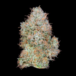 ALIEN LABS - Zkittlez (Smalls) - 14g (H) - Alien Labs