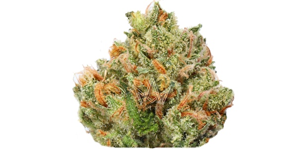 NORTHERN HARVEST - Northern Harvest - Super Lemon Haze - 3.5g