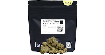 Lolo - Rainbow Guava x Blue Apricot Nugs - 3.5g