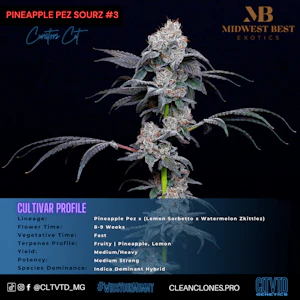 CLTVTD - Pez Sourz #3 - (H)