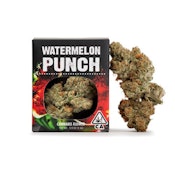 DECIBEL GARDENS: *WEEKEND SALE* Watermelon Punch 3.5g (I)