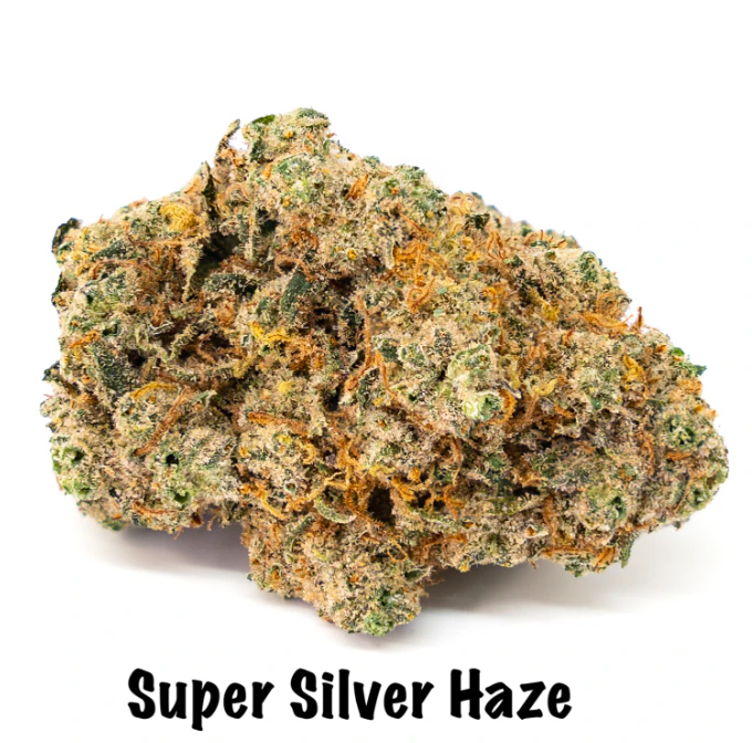 MAS! CANNABIS CO - Super Silver Haze (Eighth) Main Image