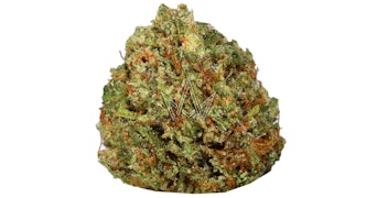 Gramlin - Lemon Sponge Cake Outdoor - 3.5g